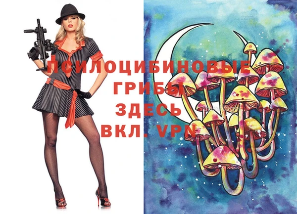 бошки Каменногорск