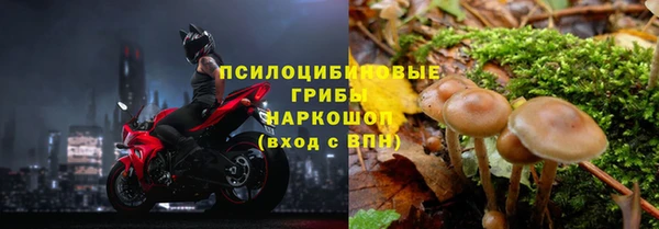 бошки Иннополис