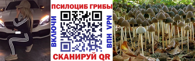 ОМГ ОМГ ССЫЛКА  Липки  Галлюциногенные грибы MAGIC MUSHROOMS 